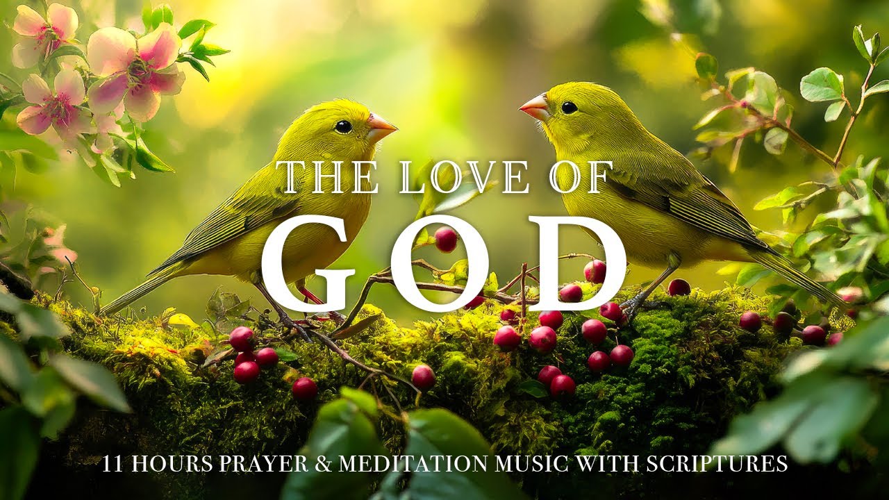 THE LOVE OF GOD | Peaceful Worship Piano & Uplifting Bible Verses | Christian Harmonies #61