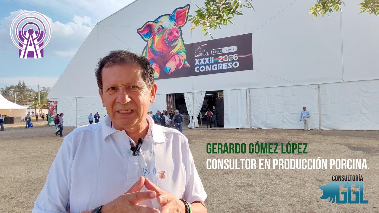 LA REVOLUCIÓN DE LOS PROBIÓTICOS EN LA PORCICULTURA.