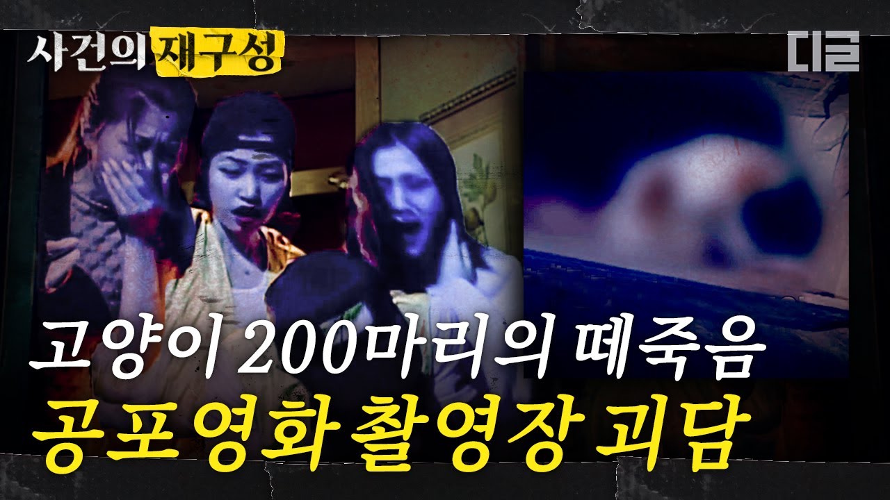 [#사건의재구성] 고양이부터 조감독까지 죽음에 이르게 한 공포 영화. 저주 받은 별장에서 촬영된〈목 없는 여살인마〉미스터리 실화 괴담 | #프리한19 #디글