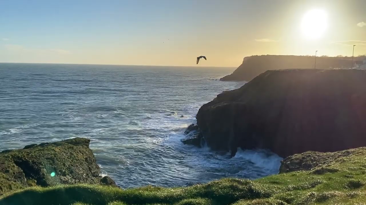 Dunmore East  Feb 15 2026