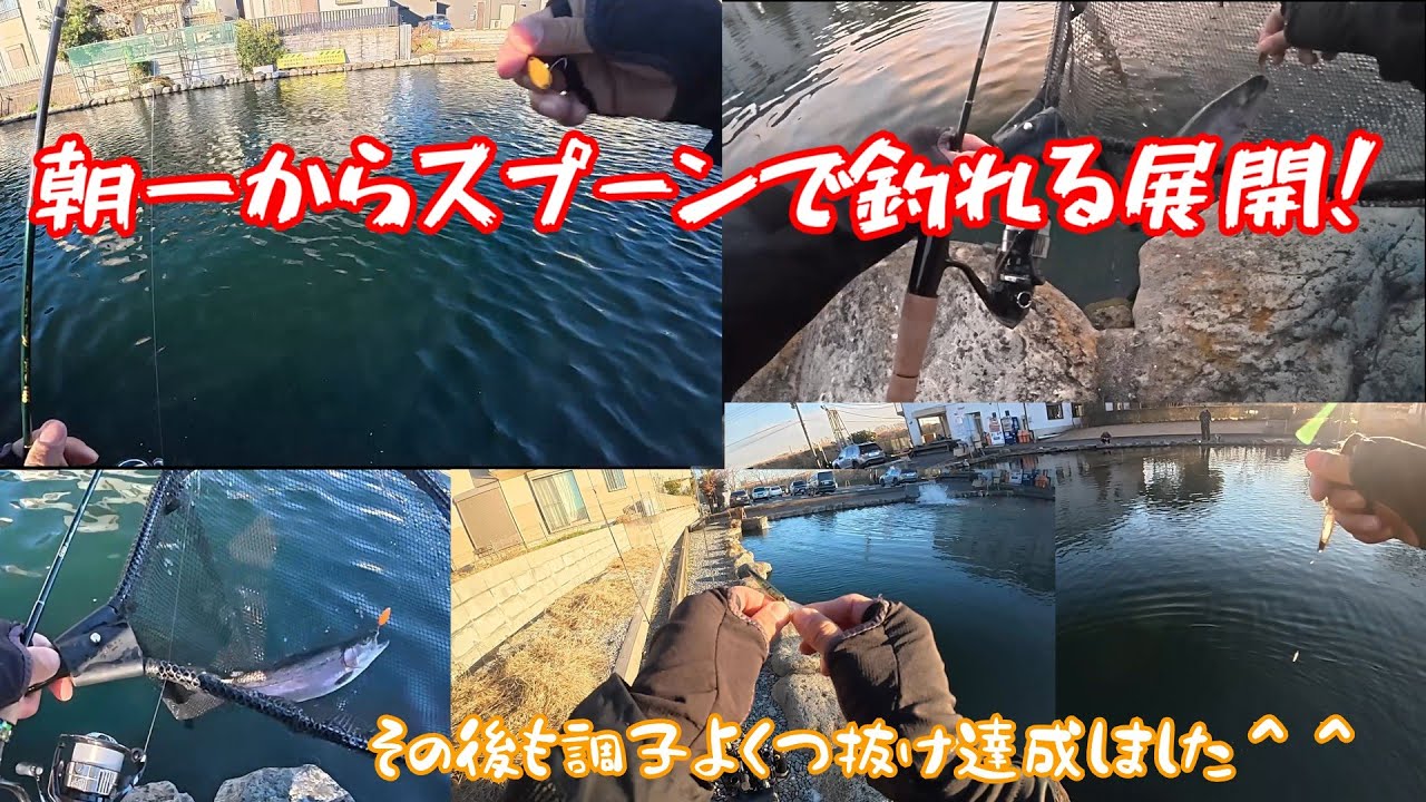 【朝霞ガーデン】１月１０日釣行記録【エリアトラウト】