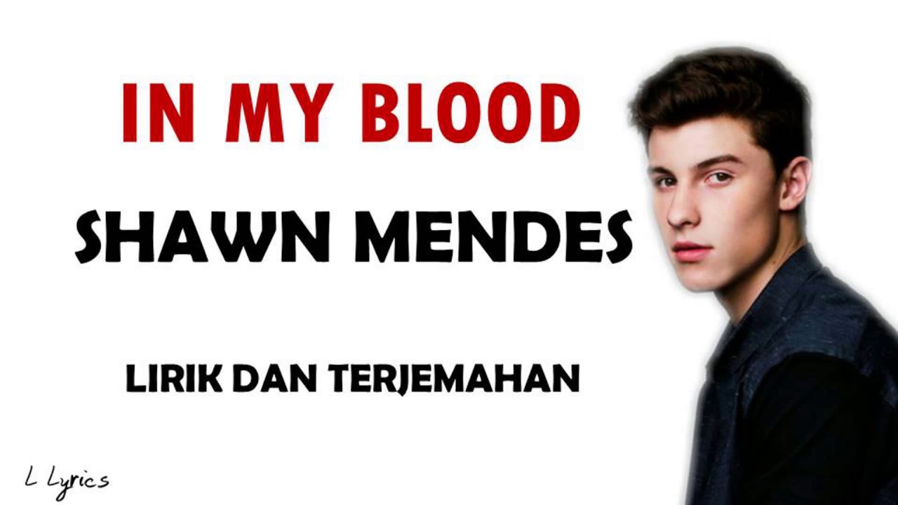 SHAWN MENDES - IN MY BLOOD - LYRICS/ LIRIK DAN TERJEMAHAN