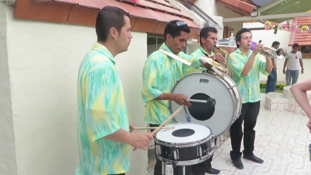 papayeras en bogota banda tropical 3138120280