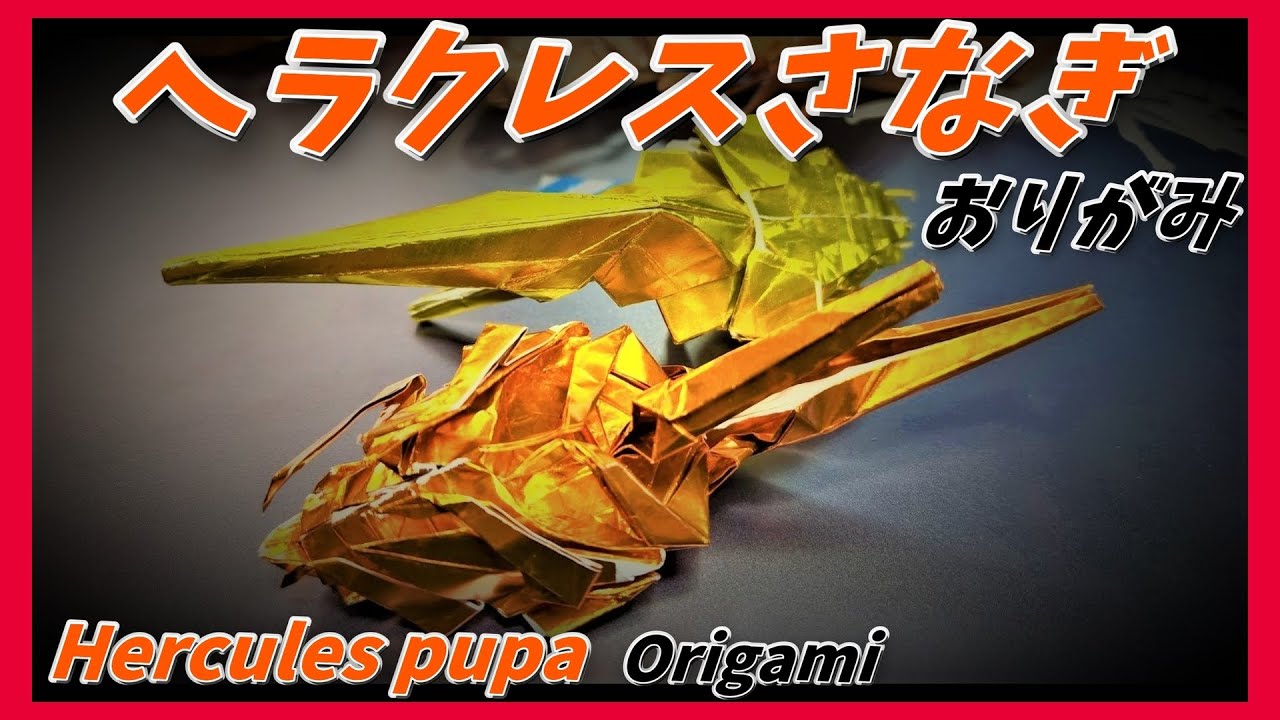 ヘラクレスさなぎおりがみ(Dynastes Hercules pupa origami)
