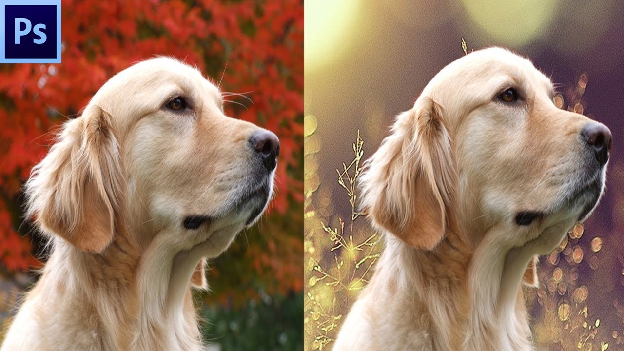 PhotoShop // Fine Hair Selection // Change Background With Fine Selection // Simple Step, Must Watch