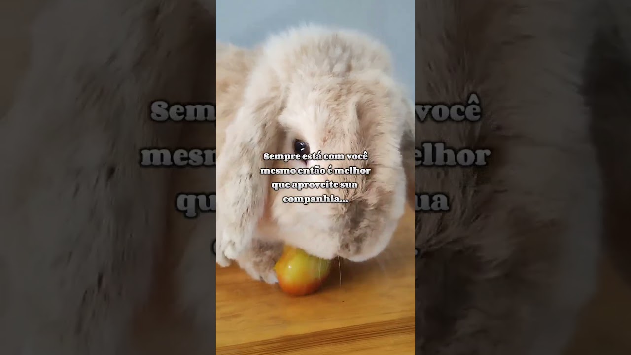 Mini vlog 02-01-2023 #romantizandoavida