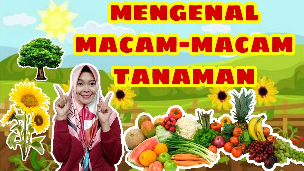 Video Pembelajaran PAUD TK Tema Tanaman || Sub tema Jenis Tanaman