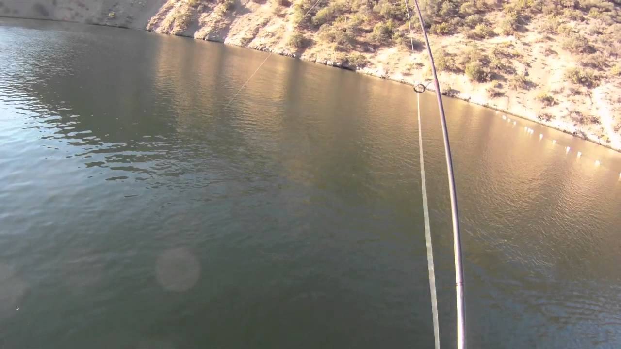 Trolling Stripers with the Poor Mans Alabama Rig (Spro BBZ-1)
