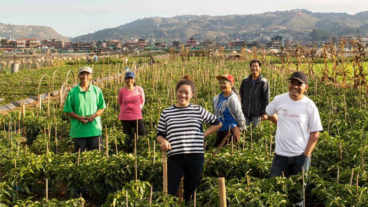 First Connections: Helping Filipino farmers during a global pandemic, one click at a time