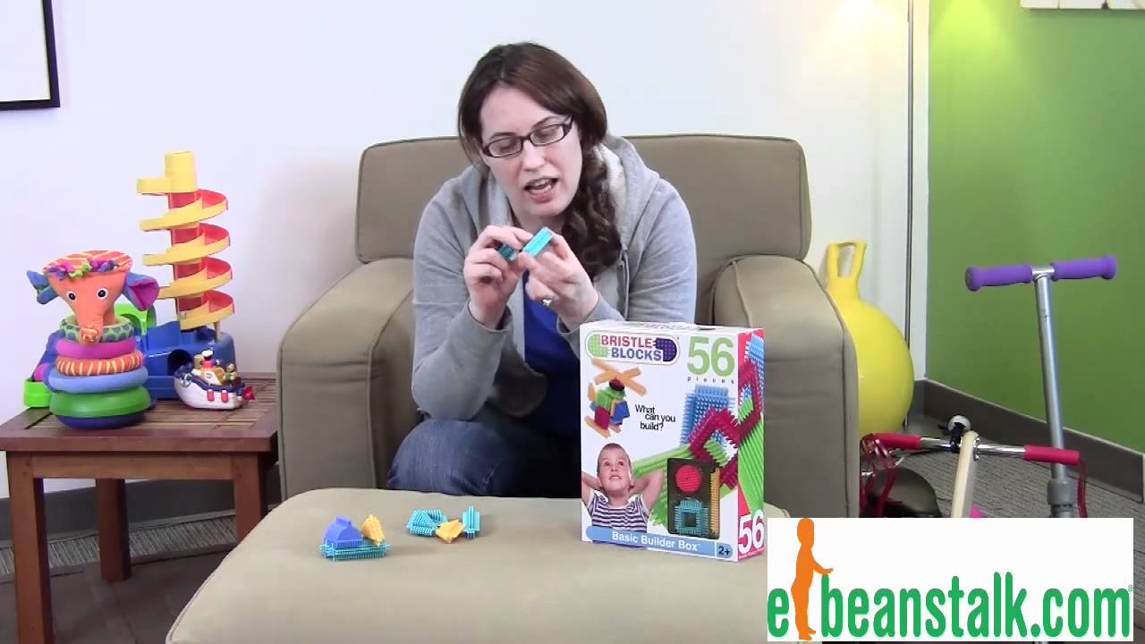 Bristle Blocks