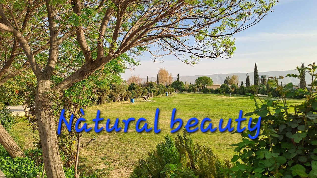 Lovely park
