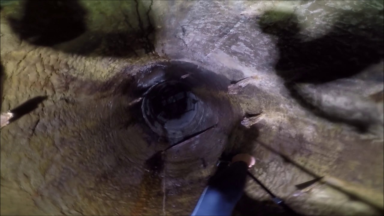 Part One The WW2 Tunnel