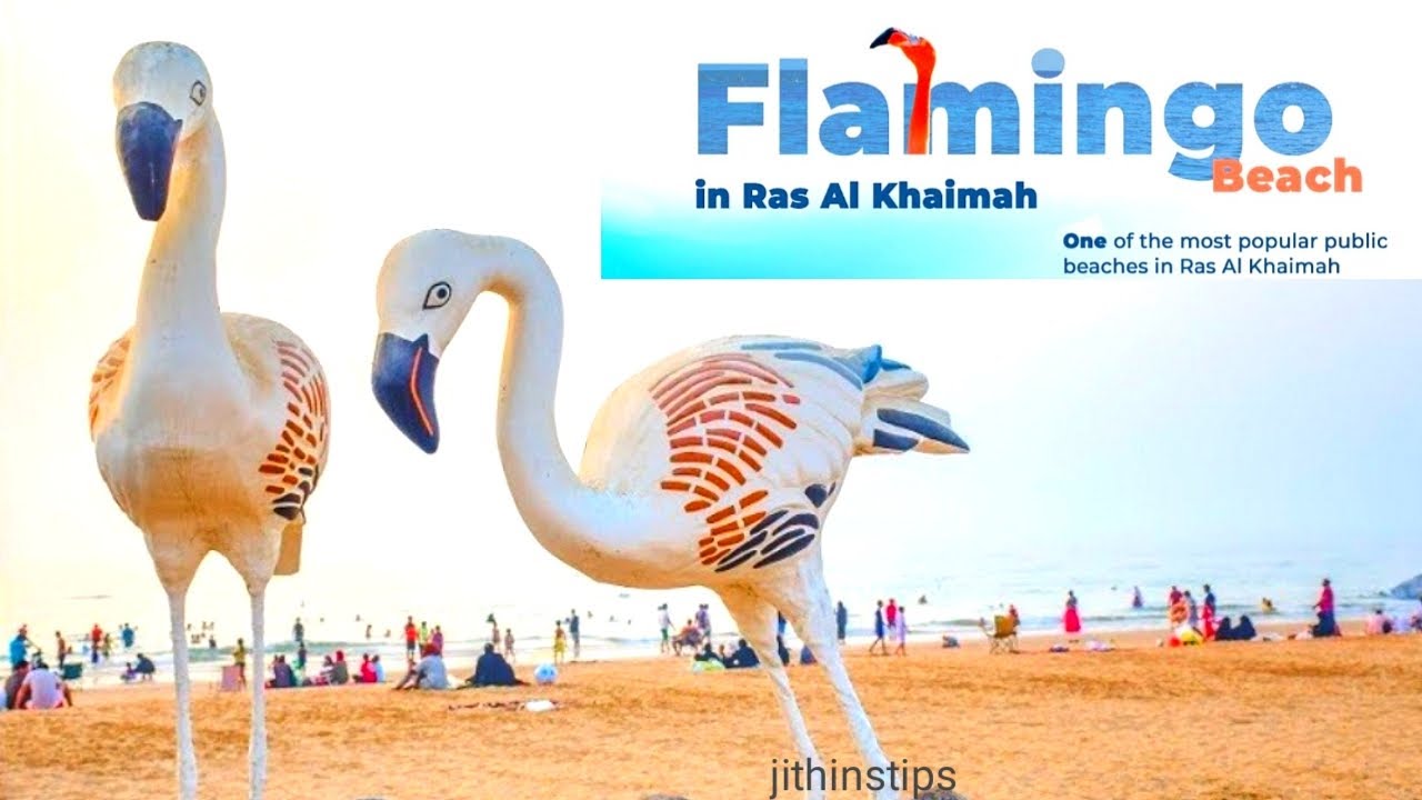 FLAMINGO Beach in Ras al Khaimah /best public beach/UAE