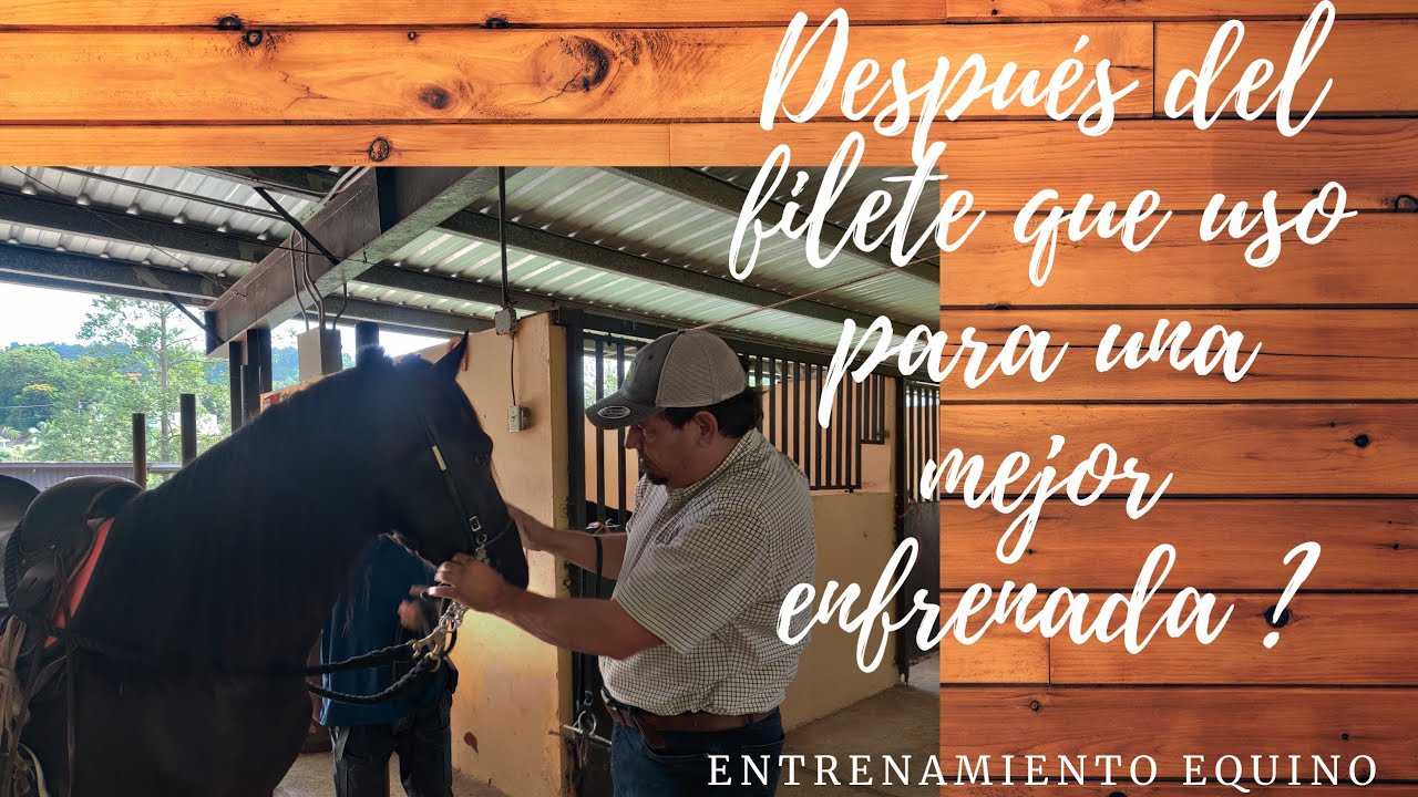 QUE USO PARA UNA MEJOR ENFRENADA DESPUÉS DEL FILETE?