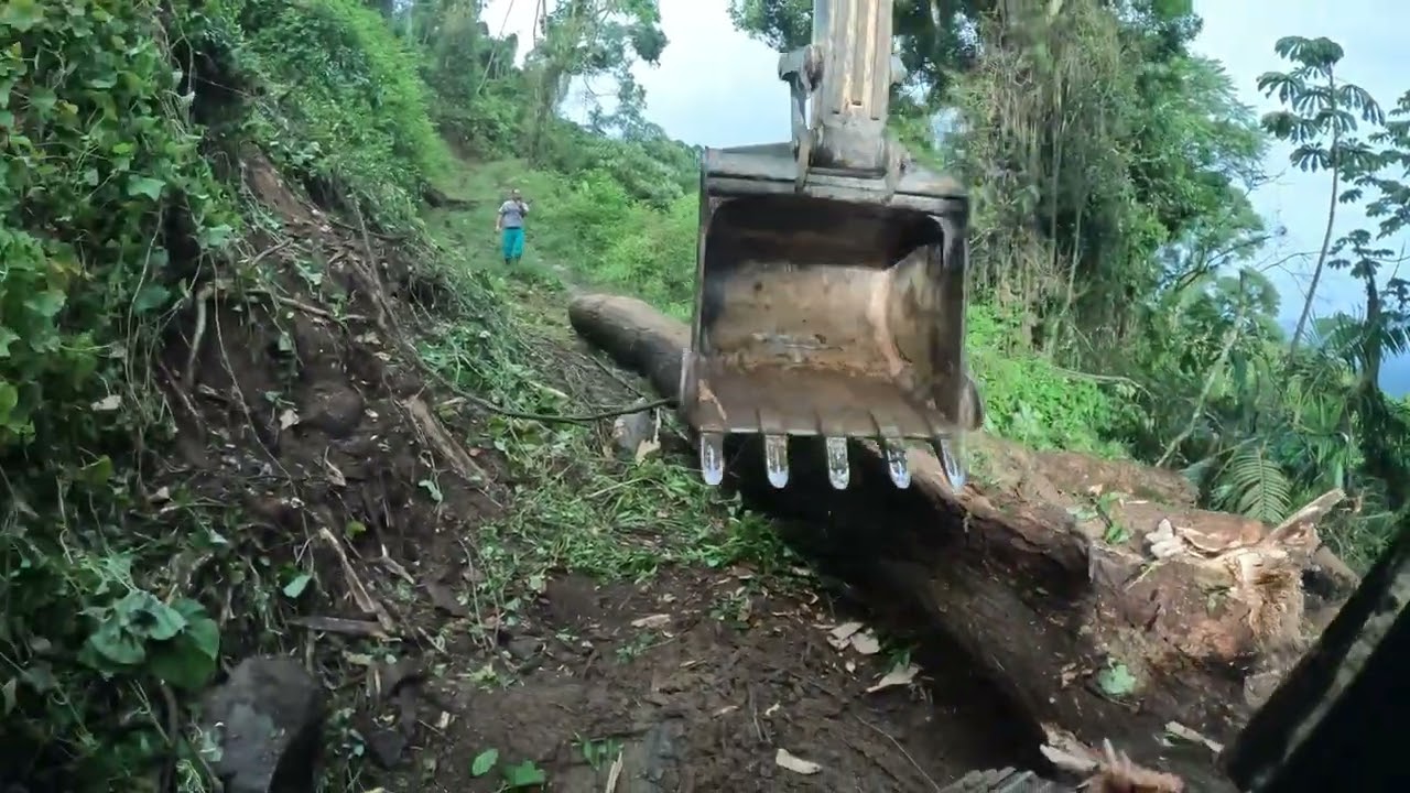 Escavadeira arrumando estrada P1