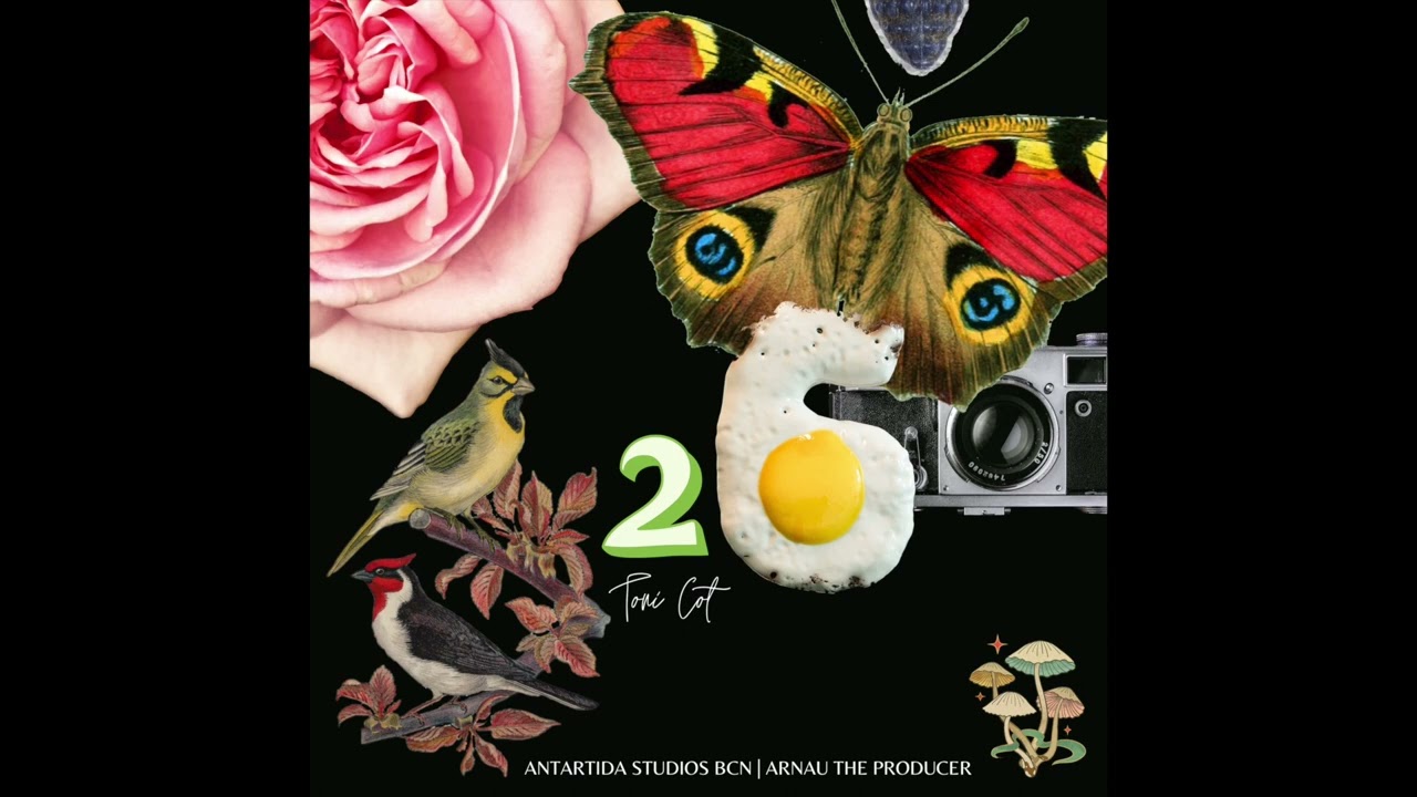 Toni Cot - 26 (Audio Oficial)