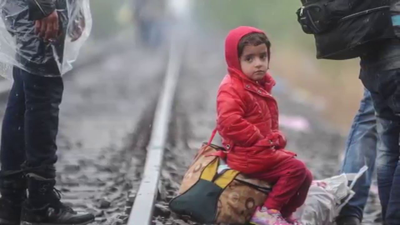 T Alex Aleinikoff  on the Global Refugee Crisis