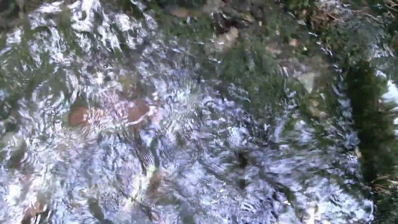 Sainte-Apolline.wmv