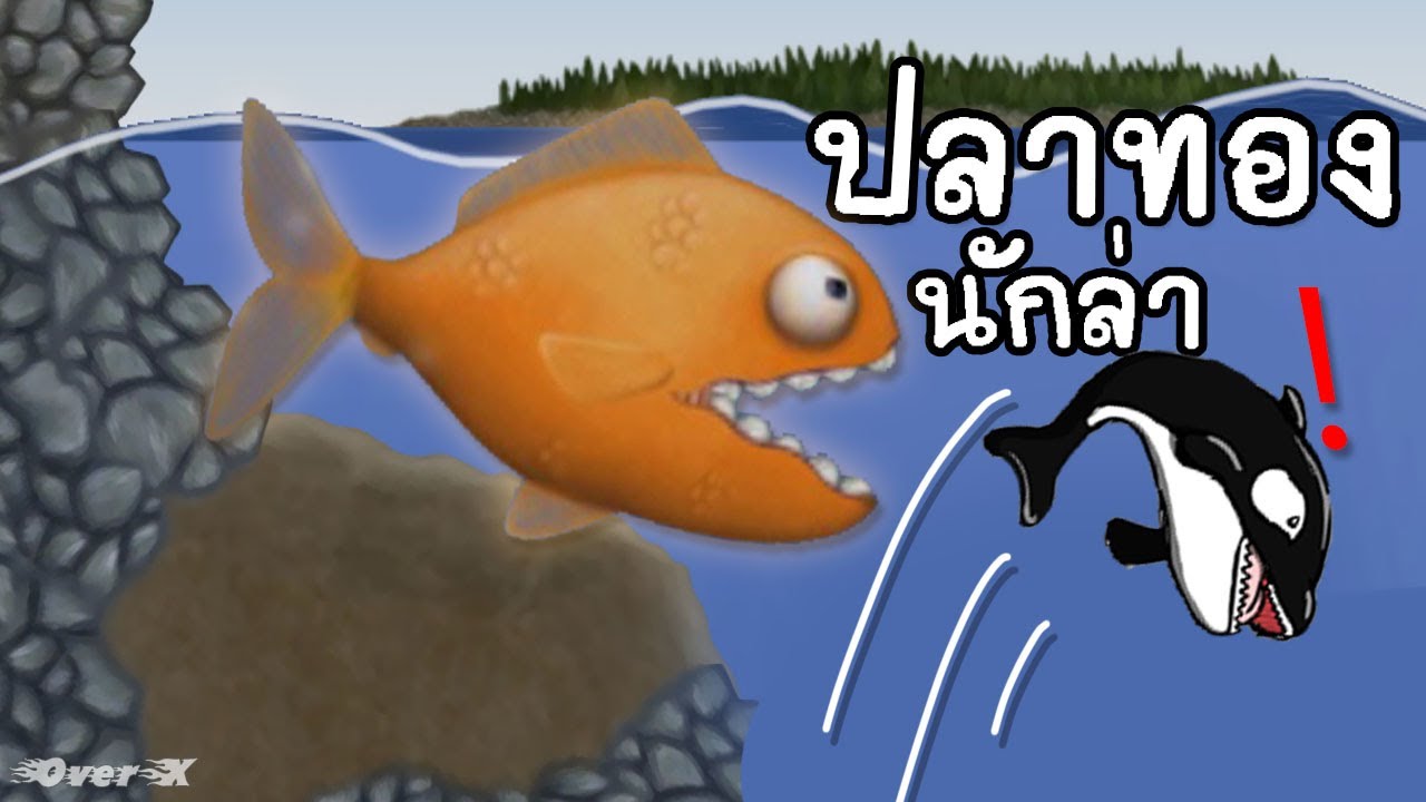 Tasty Blue - การเติบโตของปลาทองในขวดโหล | Ep.1
