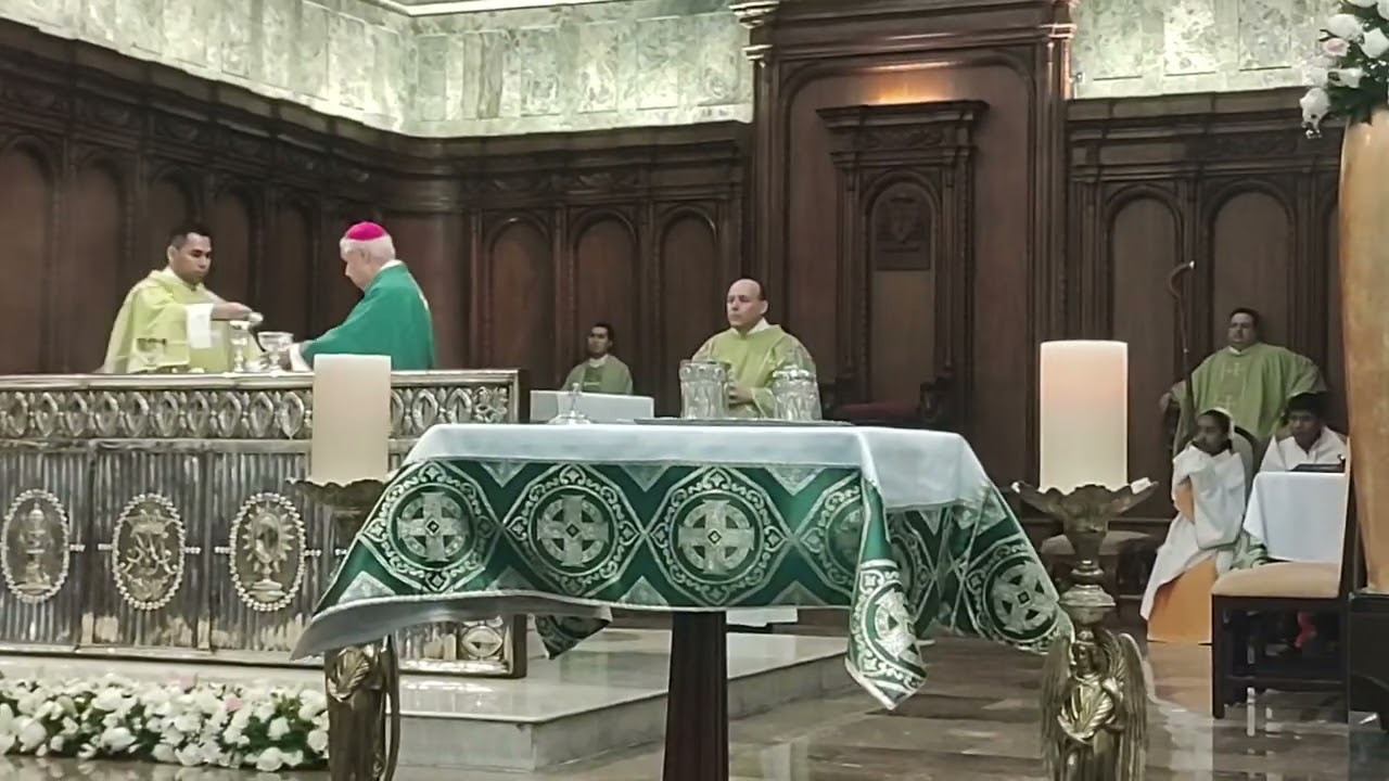#vocacional #eamsil #monaguillossil #monaguillosmty #sembradores  misa catedral de Monterrey 
