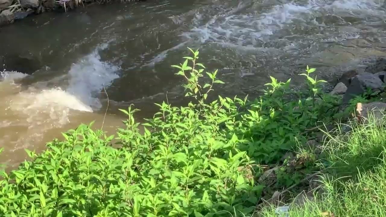 Water Sounds for Deep Sleep and Emotional Healing
