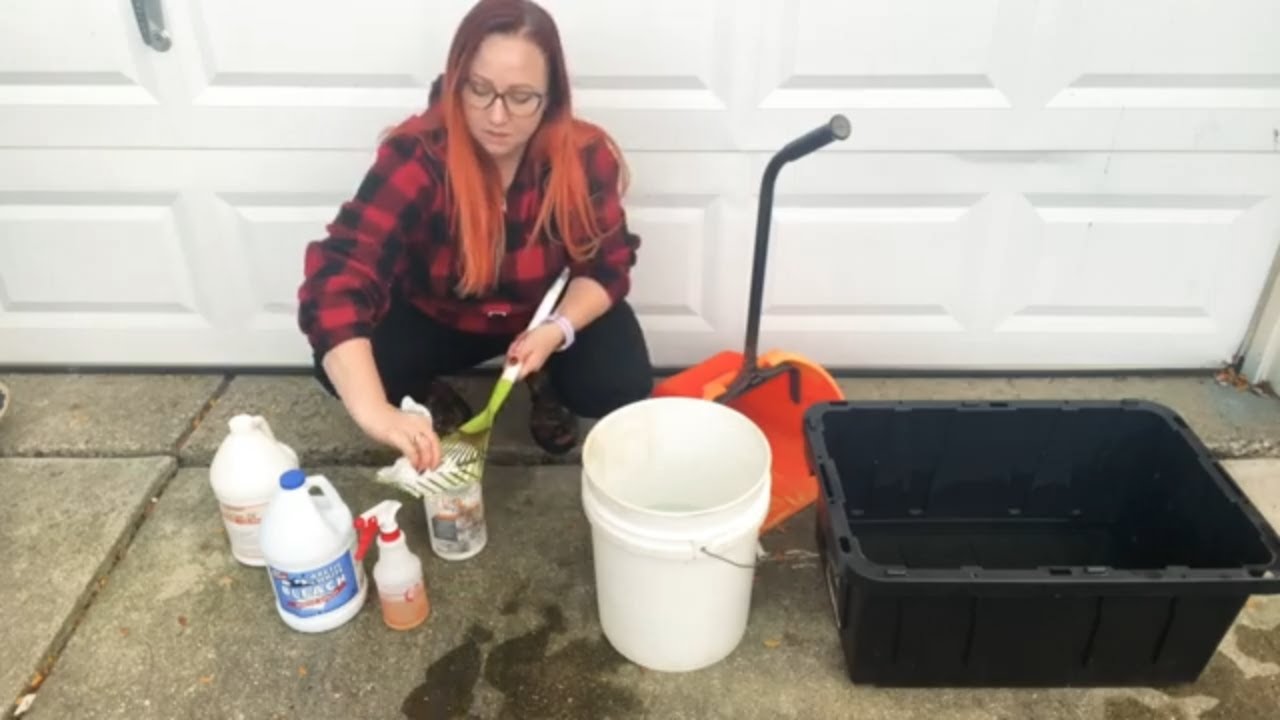 How To Sanitize Dog Poop Removal Equipment