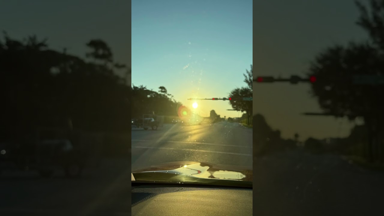 Good morning 🌞 let&rsquo;s start the day. #floridasunshine#sunshine