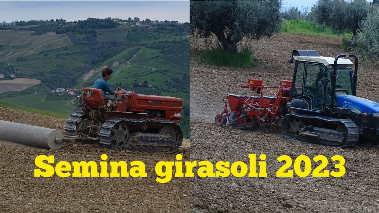 semina girasoli 2023|New Holland tk 90| Fiat 505 super| Gaspardo sp 530