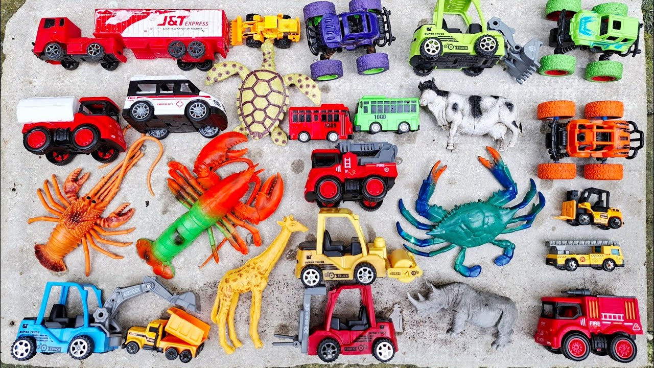 Mengumpulkan mainan di kolam, truk kontainer,bus,mobil mobilan,ambulance,ekscavator,buldoser,lobster