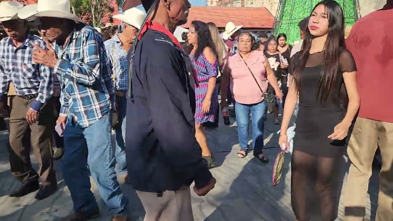 🔥 Jálate, primazo, pa’l rancho!!—Ya casi es viernes y hoy toca baile | Xilitla huapangos 🎻💃🕺