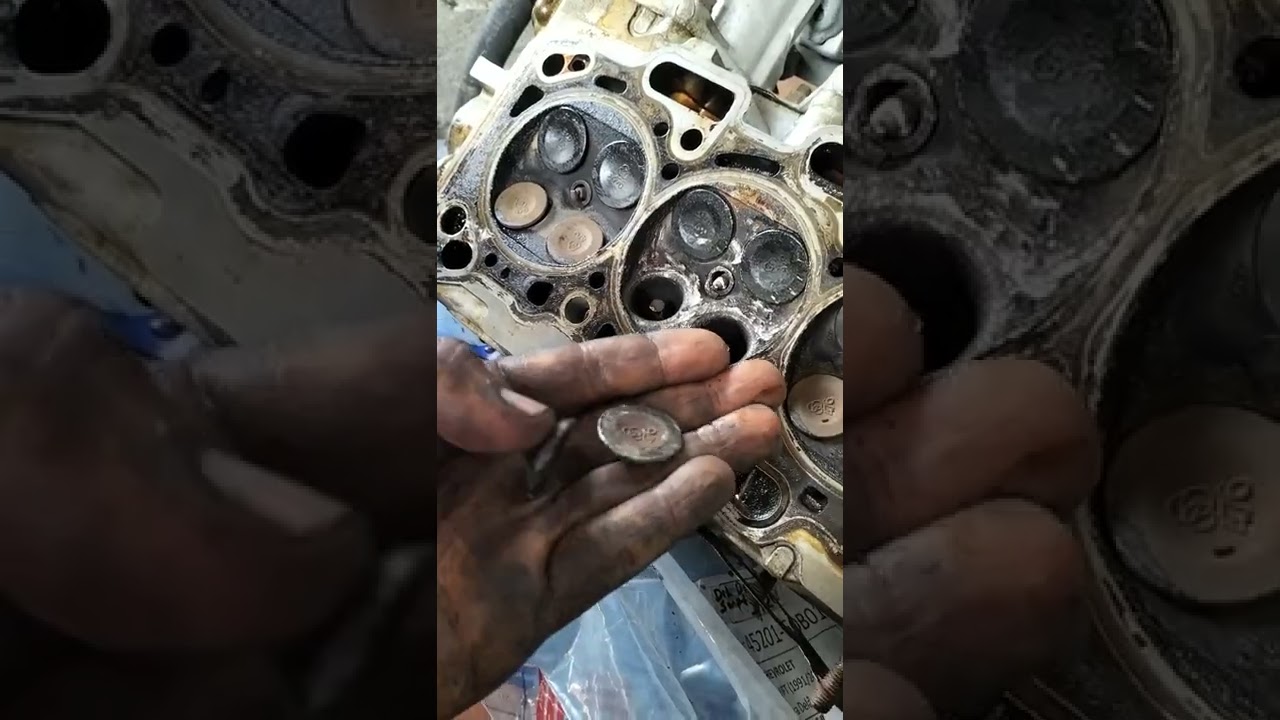 zotye nómada y Dunna revienta correa dentada y ocasiona esto😱