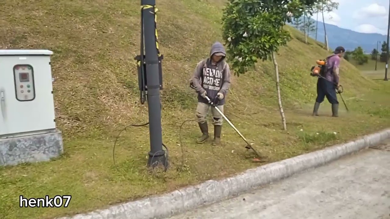 PEMOTONGAN DAN PERAWATAN RUMPUT #mesingendong #mesinpemotongrumput 