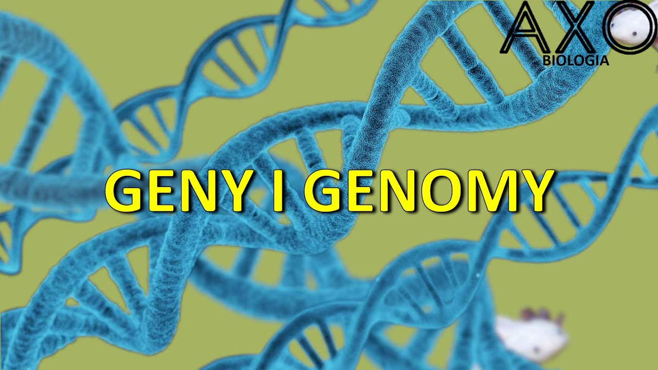 105. Geny i genomy