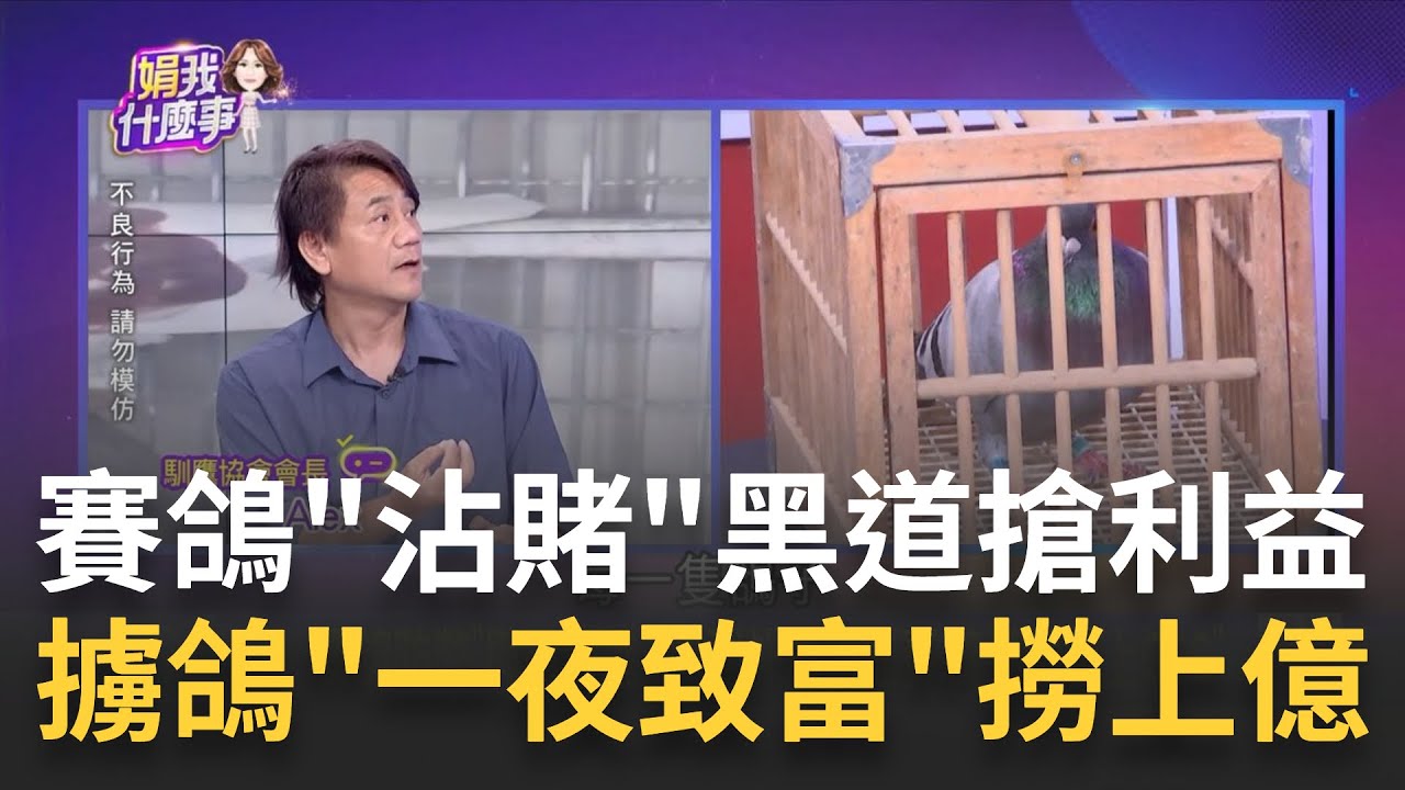 一場賽鴿賭資
