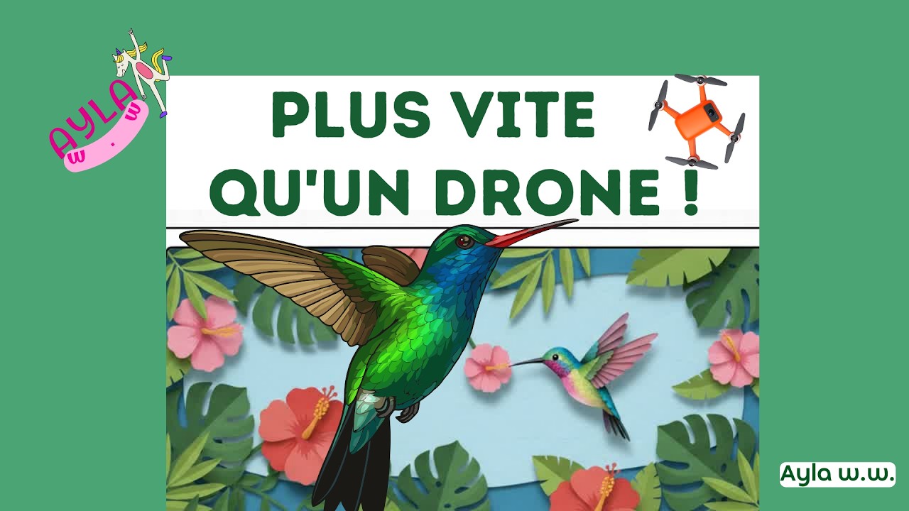 Cet oiseau est un VÉRITABLE DRONE ! 🚁🐦 (Le secret du Colibri)