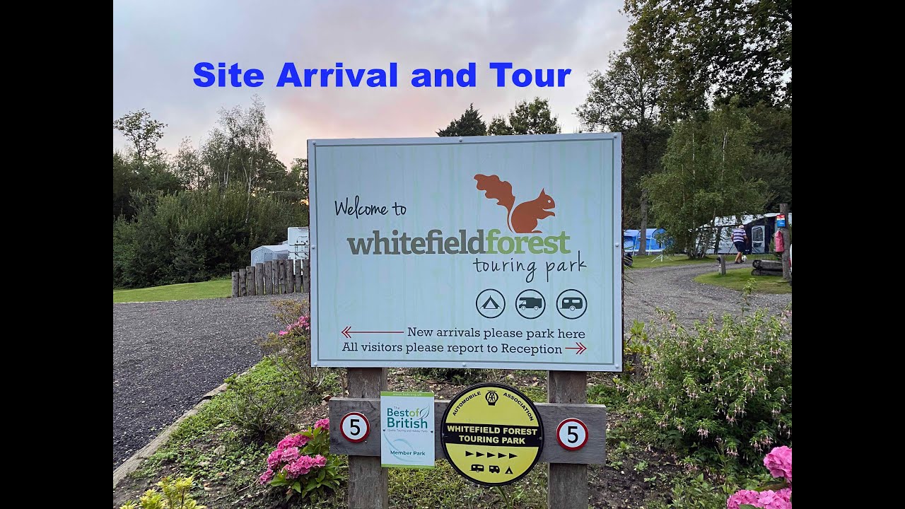 Whitefield Forrest Touring Site - Isle of Wight