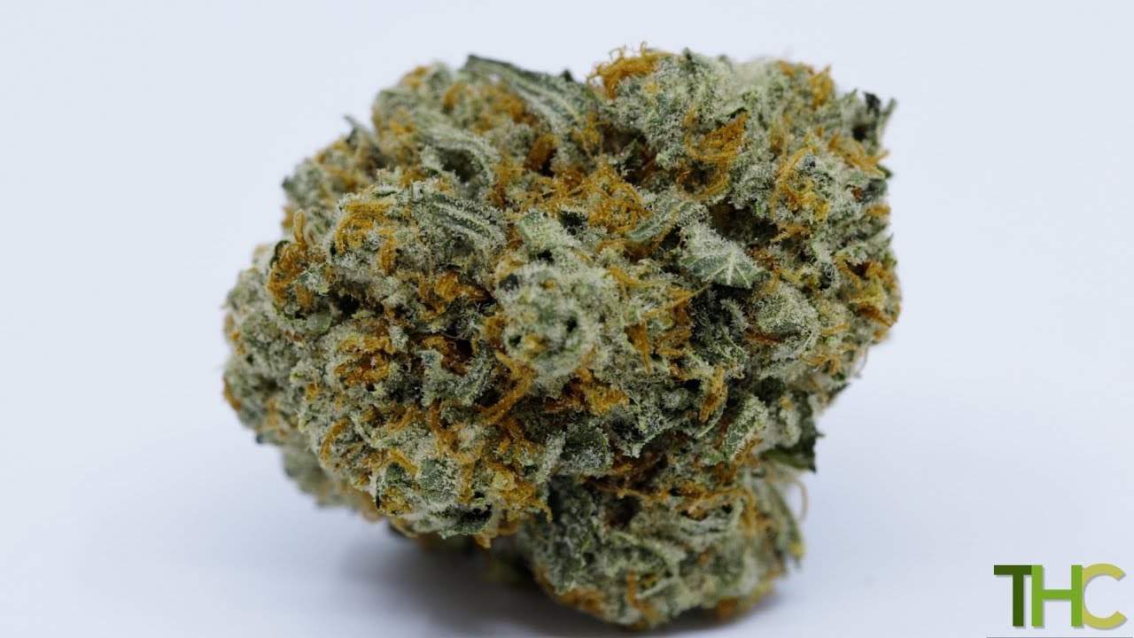 Find Your High: Bubblegum Diesel