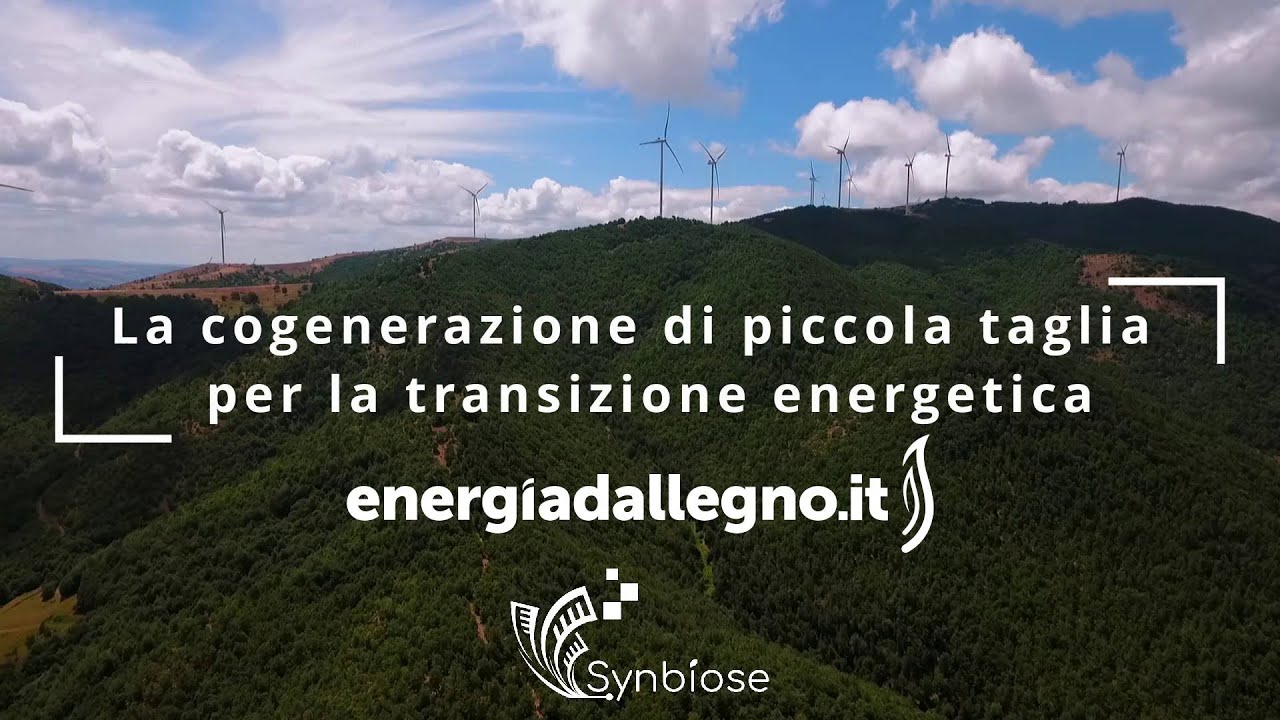 Cogenerazione di piccola taglia per la transizione energetica