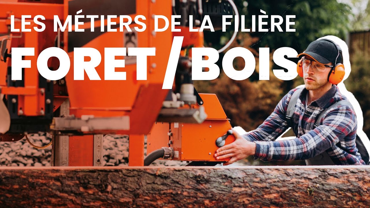 Les métiers de la filière forêt-bois