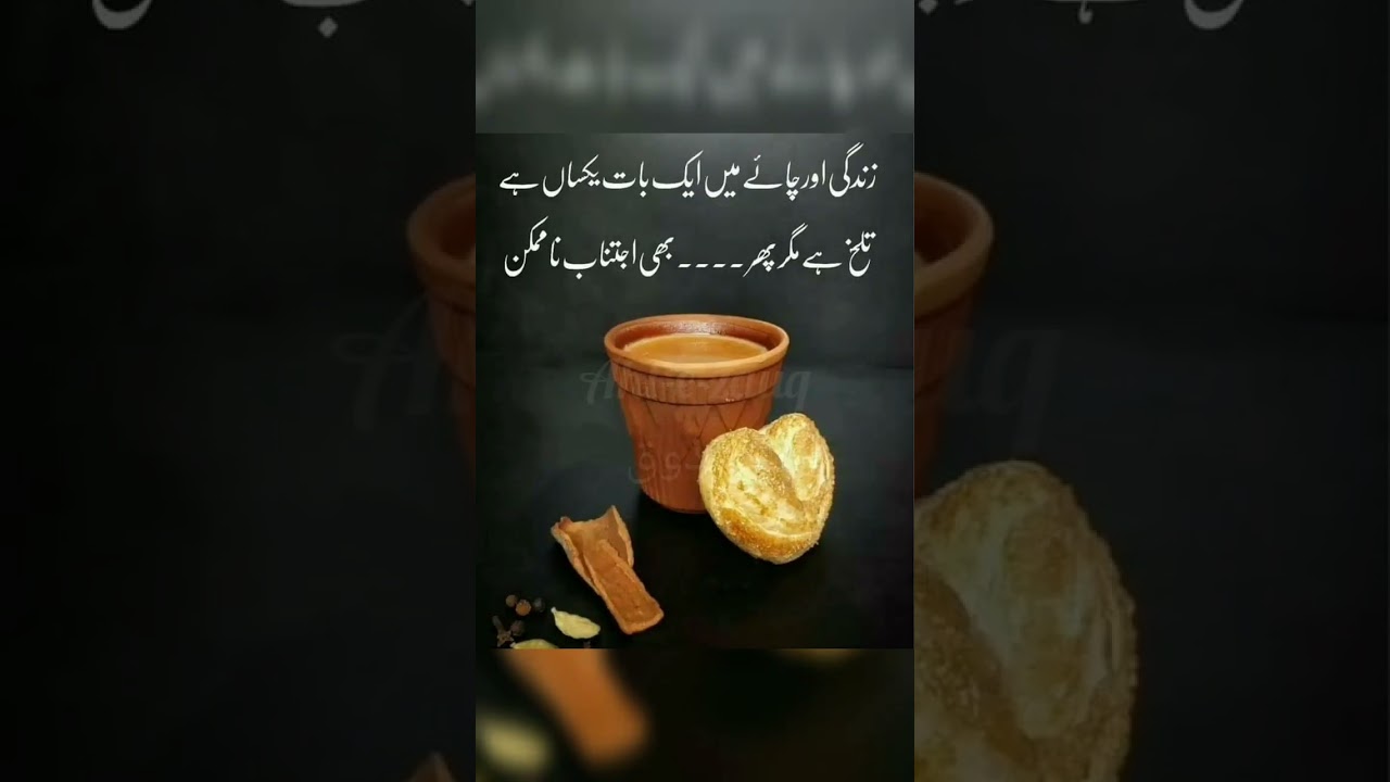 Zindagi status | Beautiful Collections Of Urdu Quotes | precious quotation| golden words#shorts