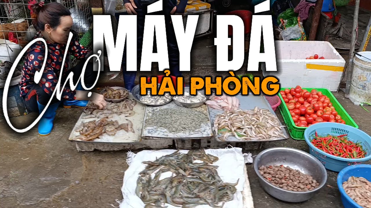Khám phá Chợ Máy Đá (Lam Sơn - Hải Phòng) | Khu chợ sầm uất bậc nhất Hải Phòng.