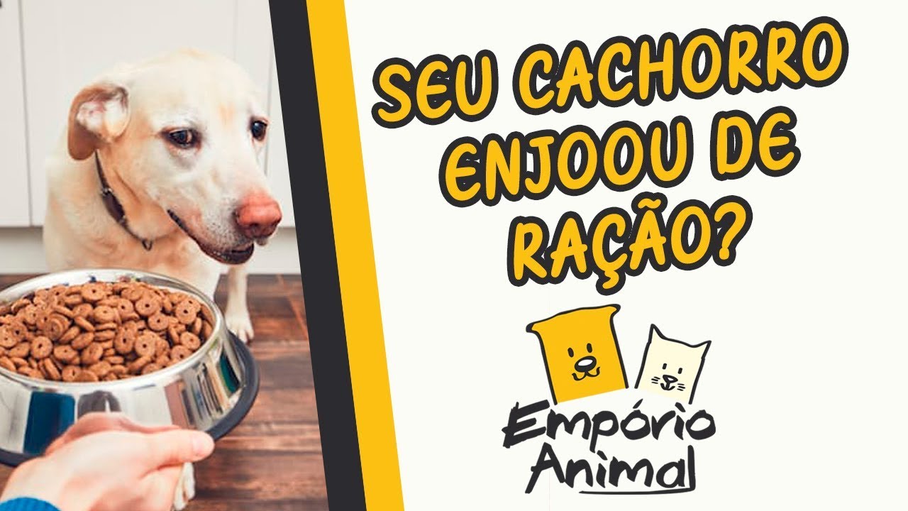 Seu cão enjoou da ração?