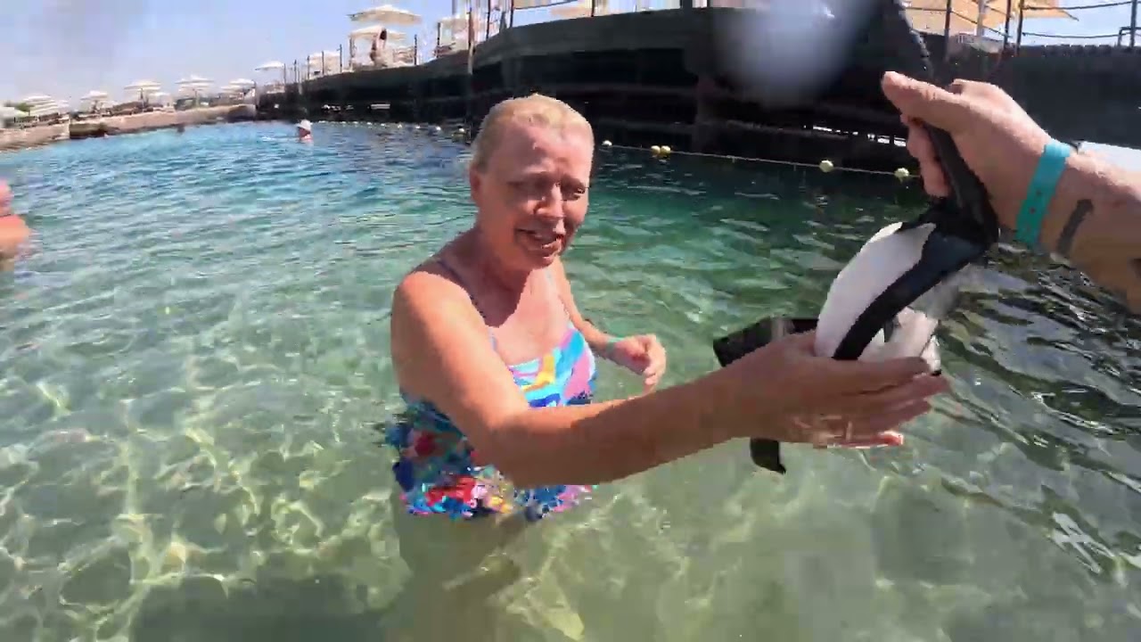Hurgarda “Marina” “ Sunrise Resort Hotel” June 2025