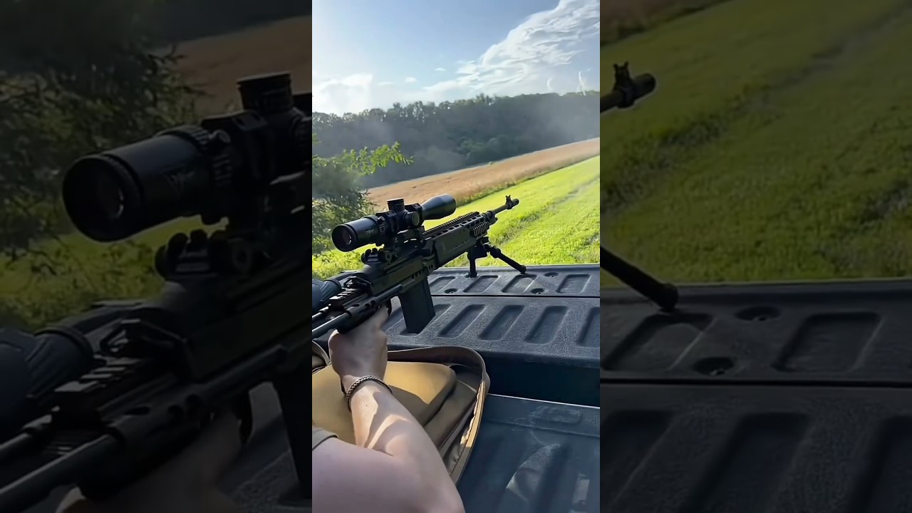 MK14 EBR .308 Rifle legal gun !