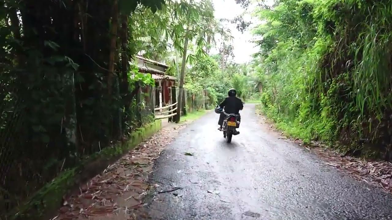 Walking along a Beautiful road of sri Lanka. Street Walk. Unseen Rural Village. View Paddy Fields.12