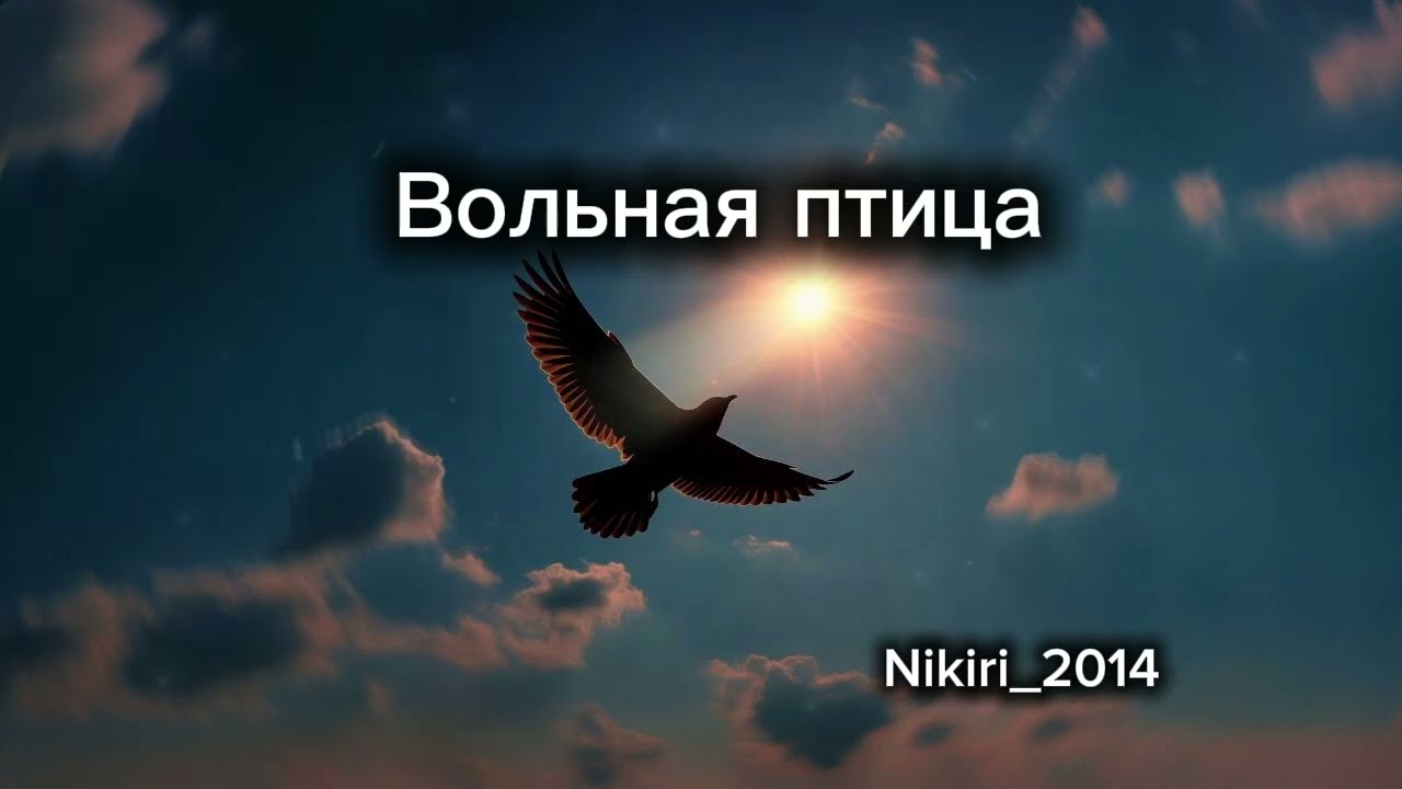 Вольная птица