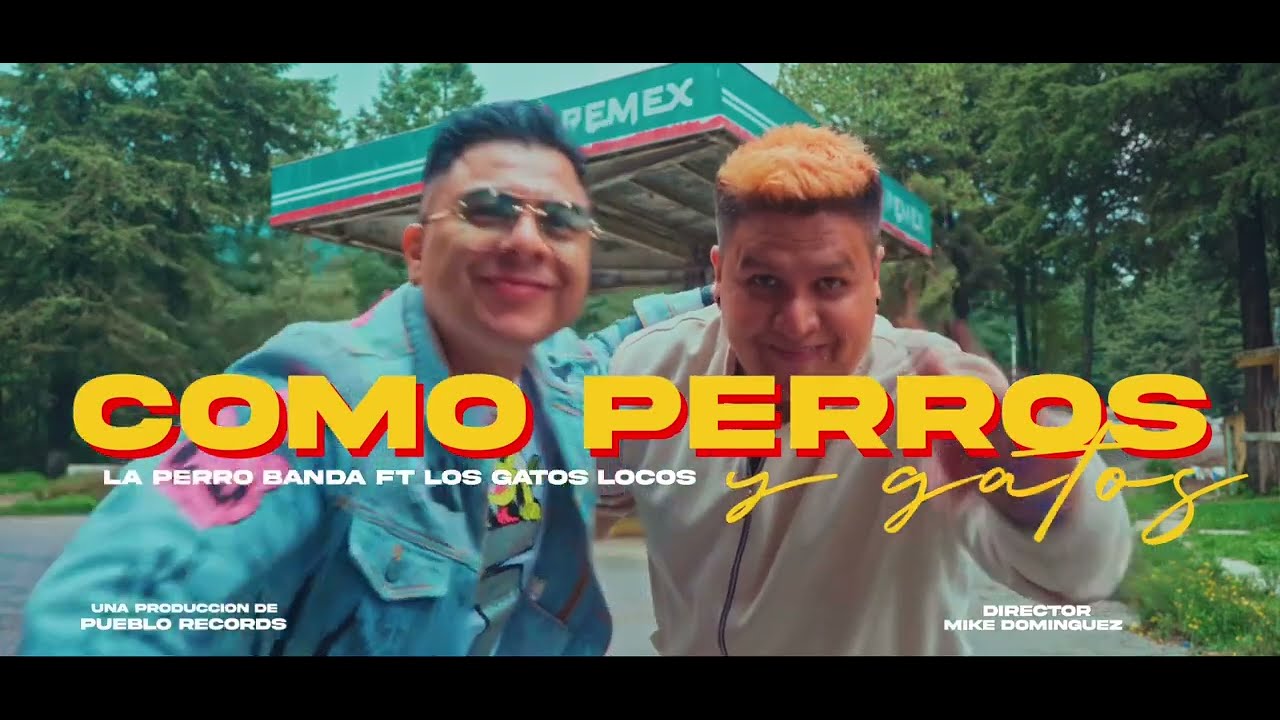 Los Gatos Locos - Como Perros y Gatos (Official Video)