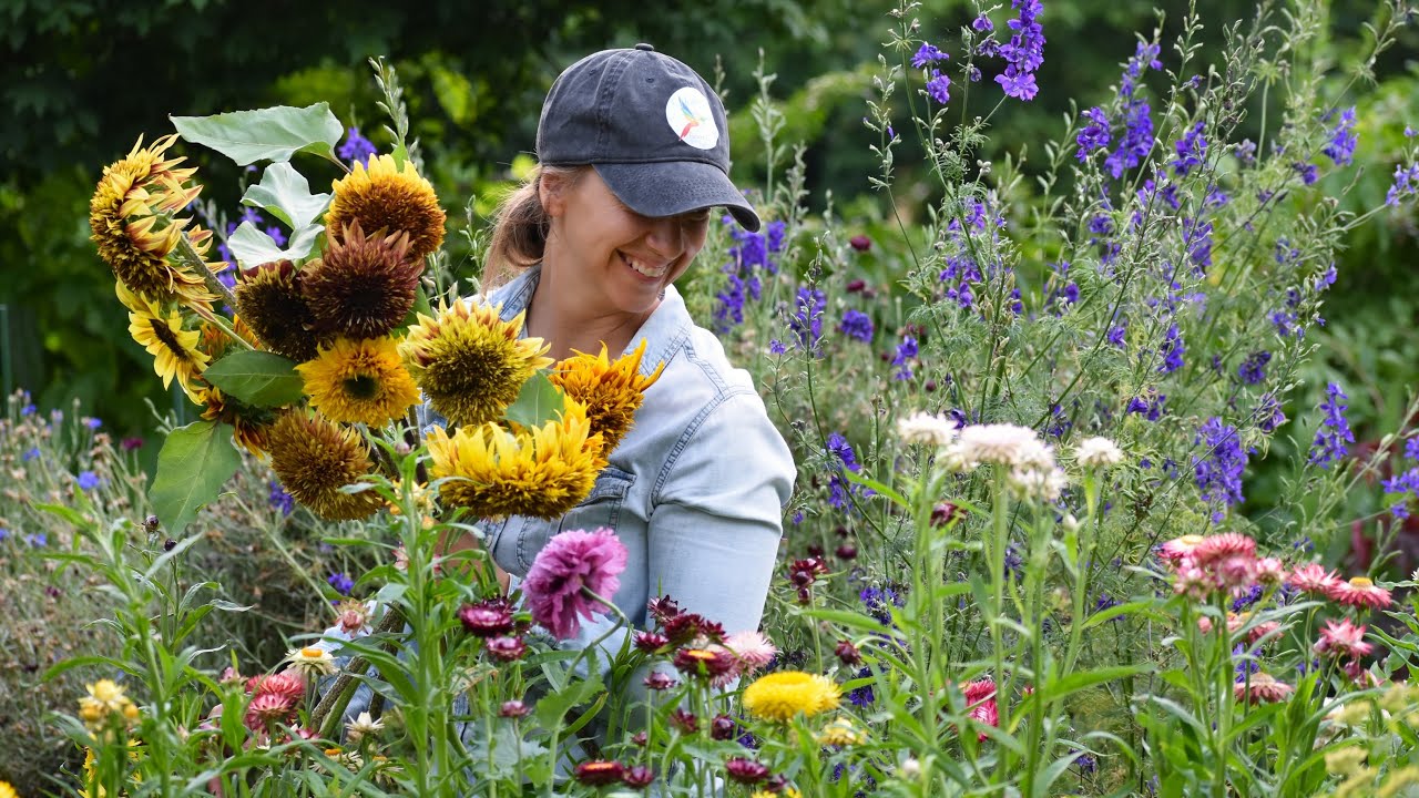 The most beautiful sunflowers in the world! Van Gogh Fantasy Mix Sunflower Arrangements // Northlawn