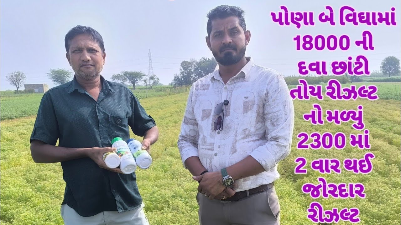 પોણા બે વિધામાં 18000 ની દવા છાંટી
