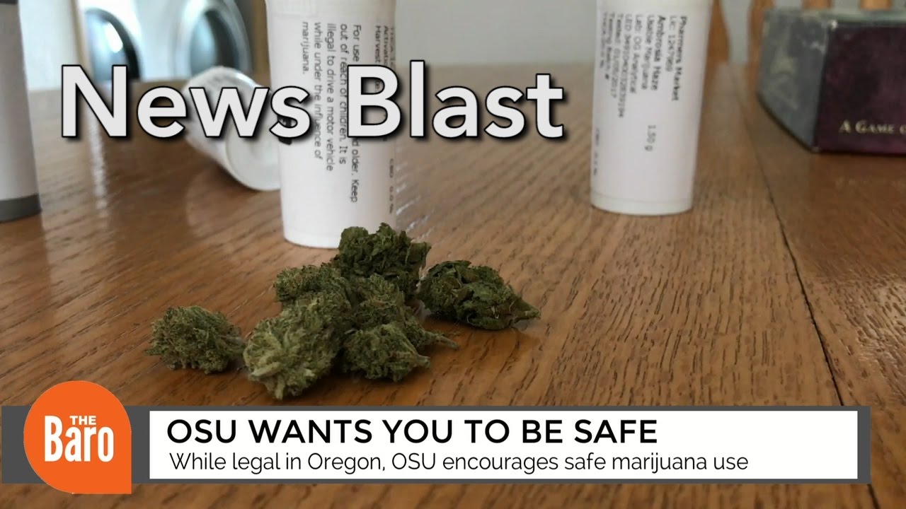 Corvallis dispensaries double sales on 4/20: The Daily Baro News Blast